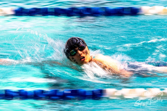 HKSSFswimming-113