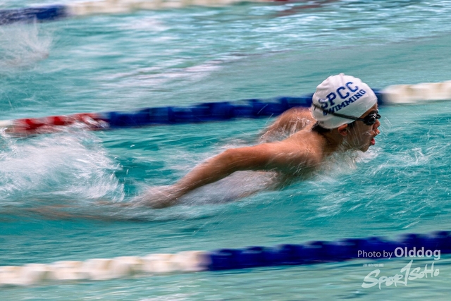 HKSSFswimming-187