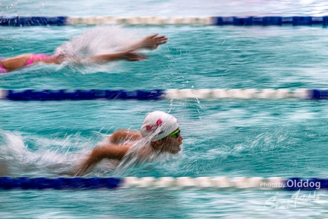 HKSSFswimming-191