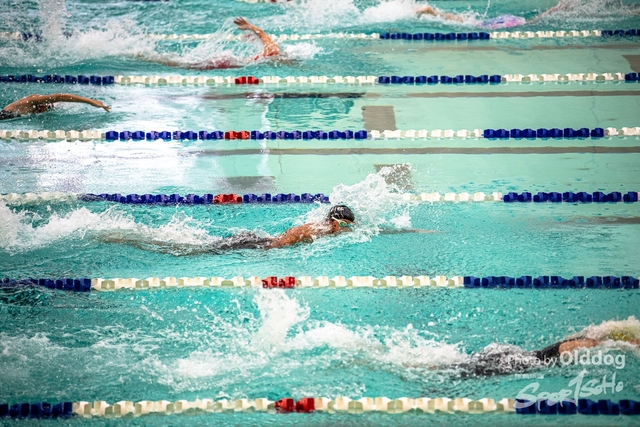 HKSSFswimming-276