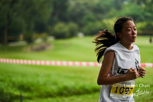 2019-10-28 Inter-School Cross Country Competition D1 0092