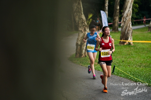 2019-10-28 Inter-School Cross Country Competition D1 0094