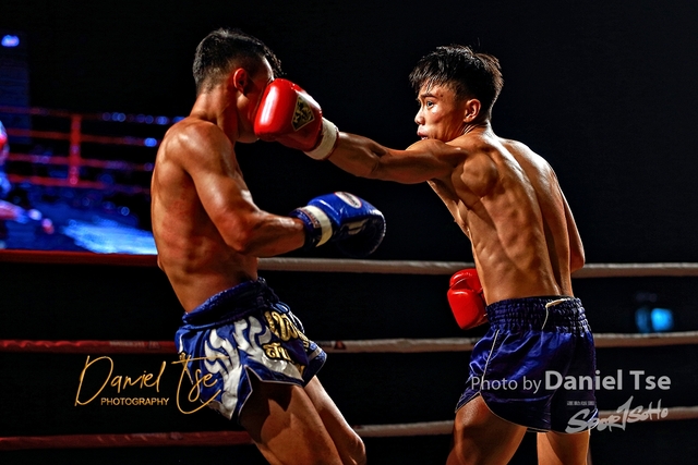 DANL7979