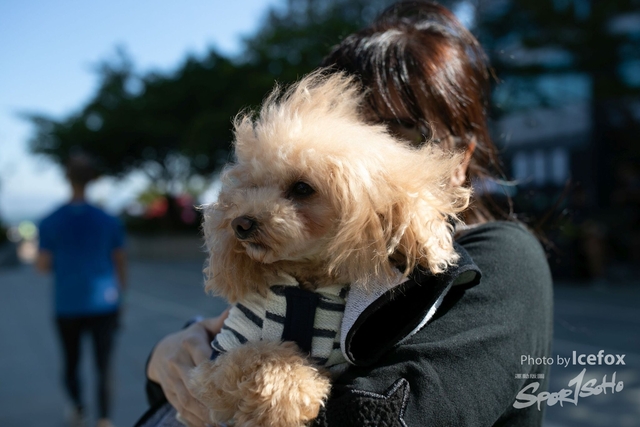 20191208_TaiPo_HM_SOHO-571