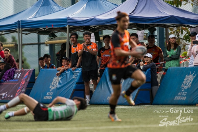 Tertiary Rugby 0143