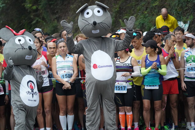 sportsoho運動版圖