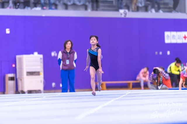 CYY_0317