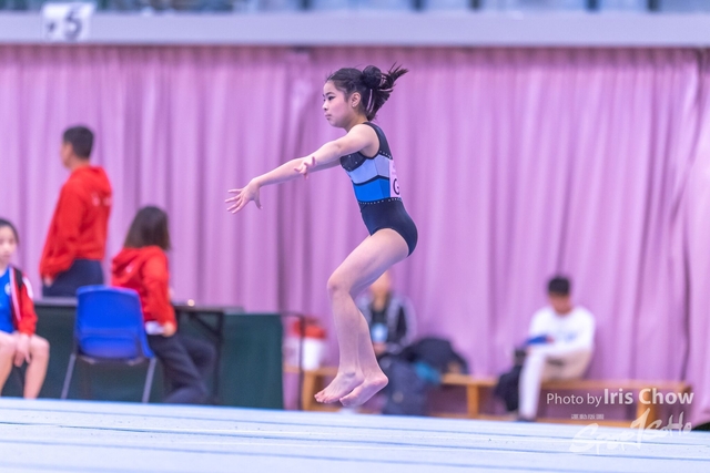 CYY_0799