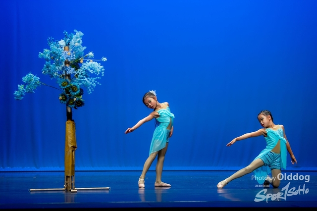 SoloDance-883
