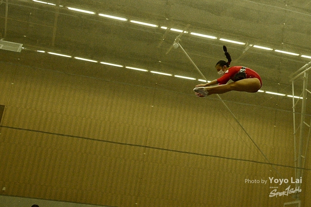 DSC_4704-aa-01