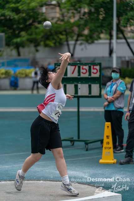 _DSC7974