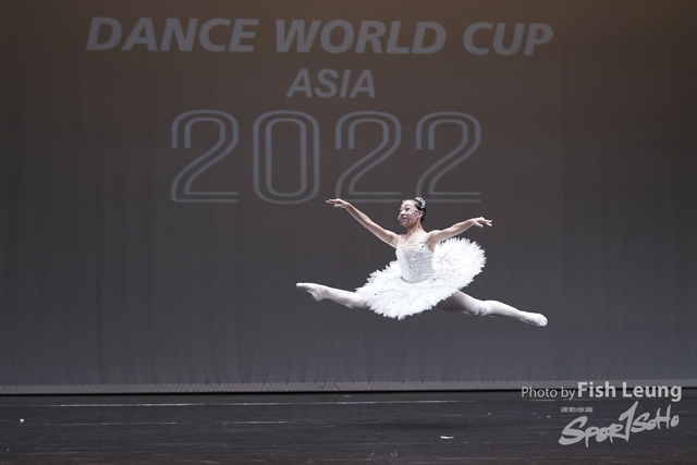 DSC02733