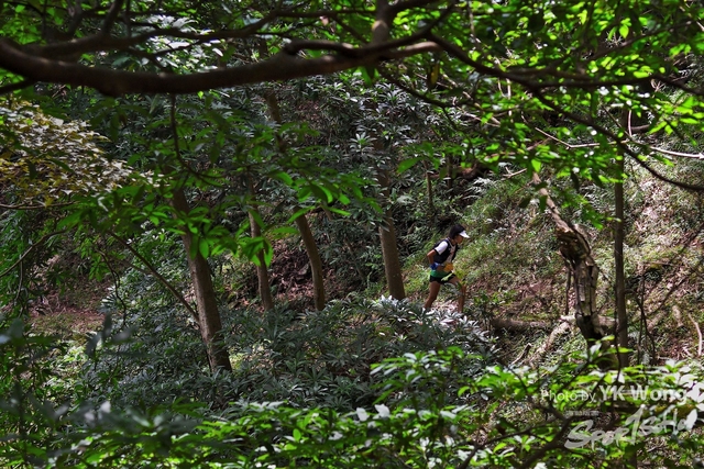 DSC_10203A