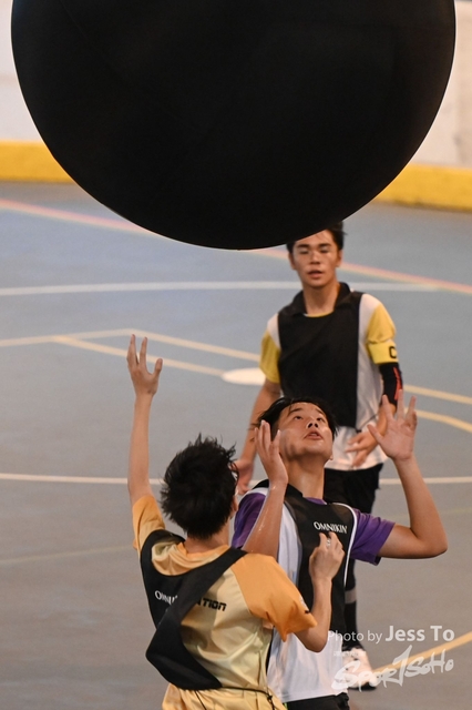 DZ6_8008-2