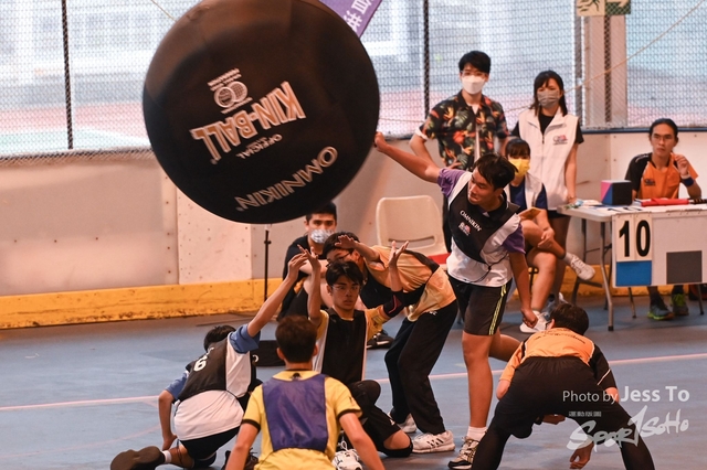 DZ6_8081-2