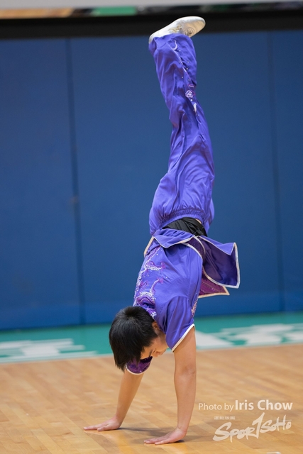 HLY_0317