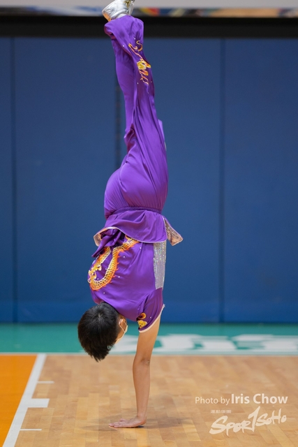 HLY_0356