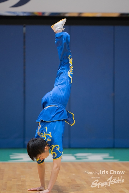 HLY_0379