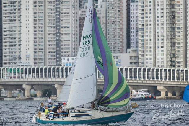 HLY_0226