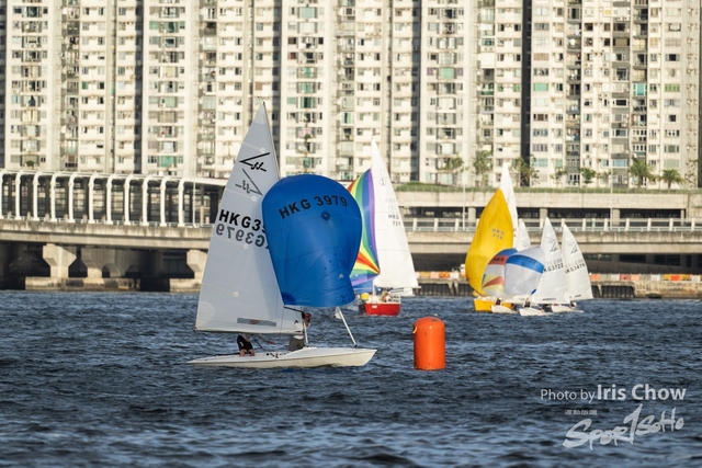 HLY_0694