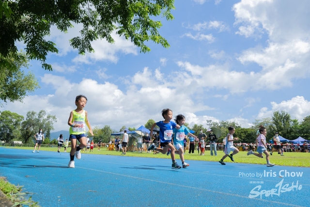 HLY_0268