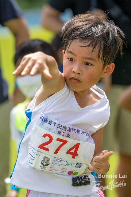 464A8838