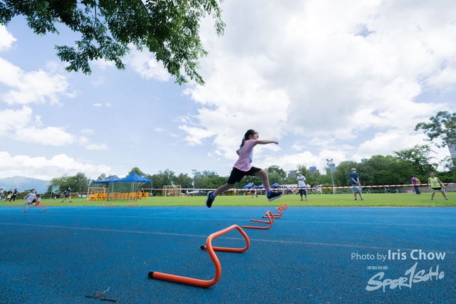 HLY_0871
