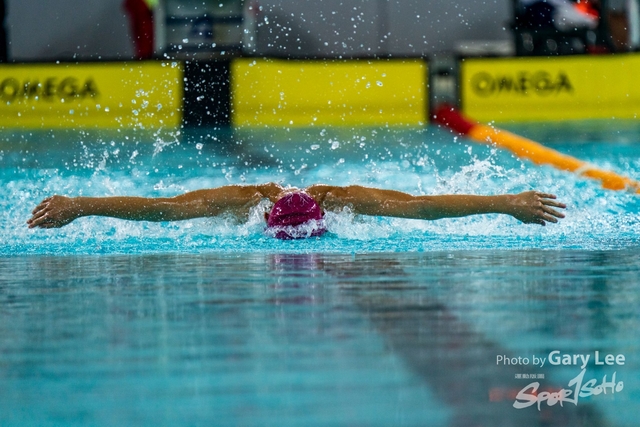 香港公開游泳錦標賽 0002