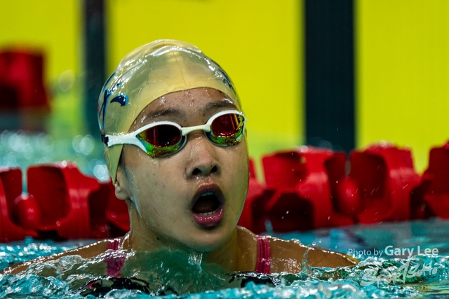 香港公開游泳錦標賽 0014