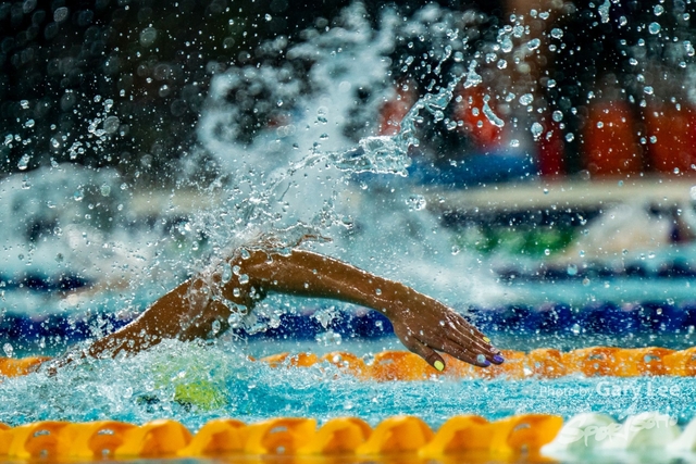 香港公開游泳錦標賽 0018