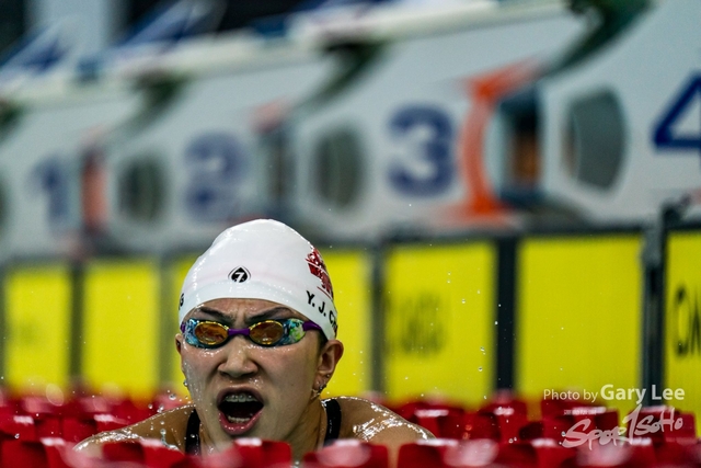 香港公開游泳錦標賽 0062