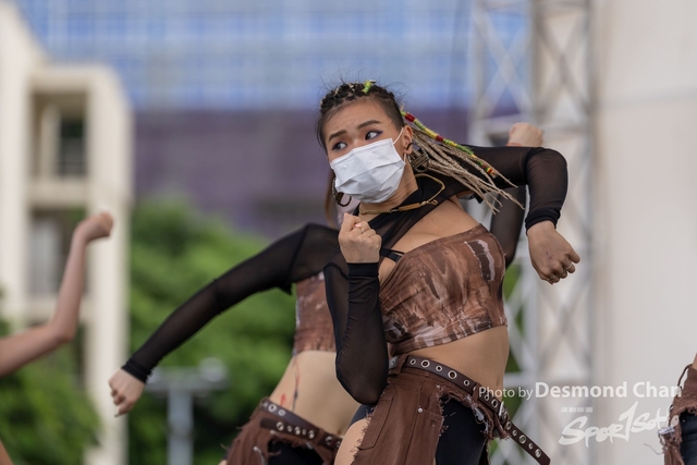 _DES2901