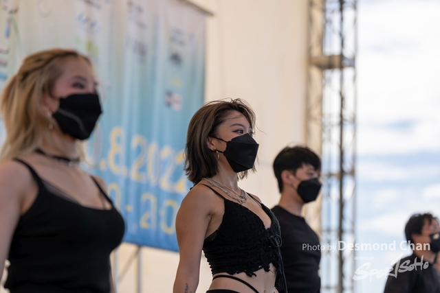 _DES4017
