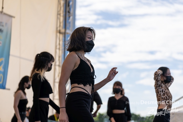 _DES4051