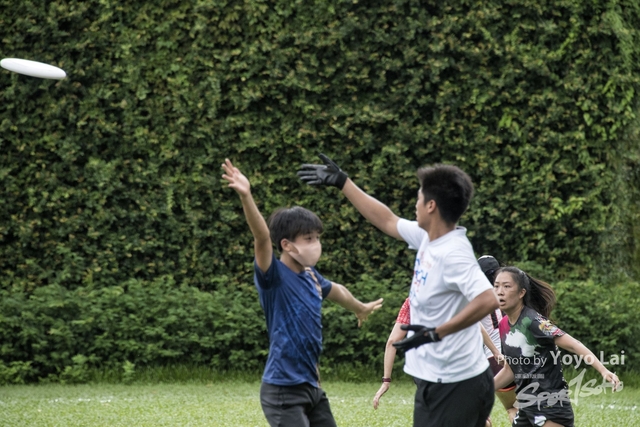 DSC_9612-a-01