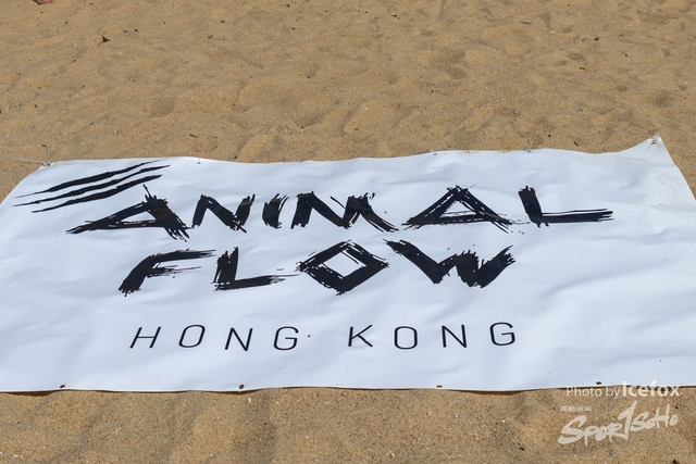 Animal_Flow_Day-1
