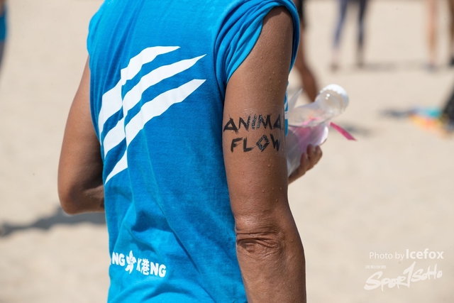 Animal_Flow_Day-2