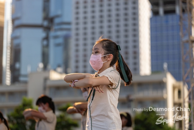 _DES6374