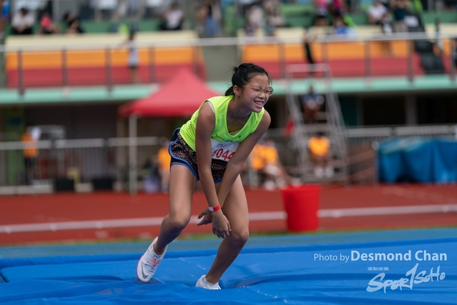 _DES3419