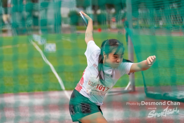 _DES6599