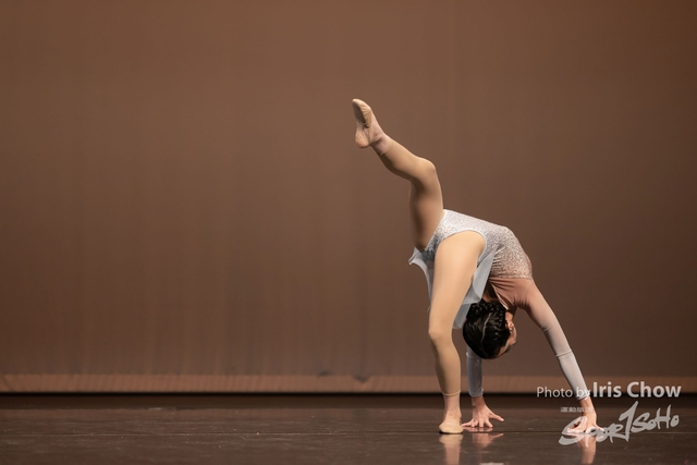 DSC_0549