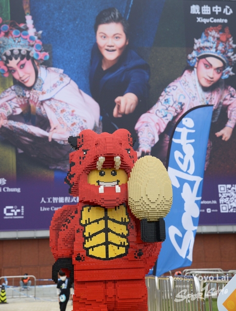 DSC_1905-a