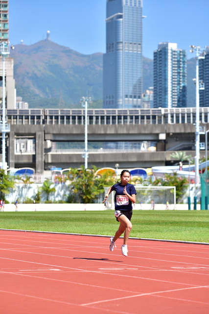KT_TnF_2022-019