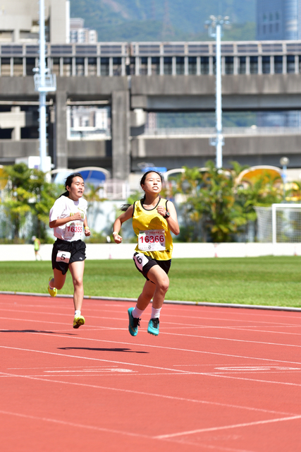 KT_TnF_2022-031