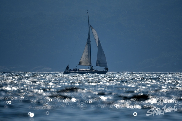 DSC_4758A