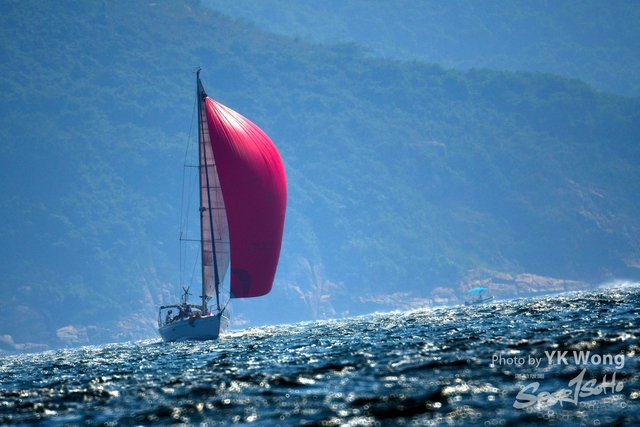 DSC_4791A