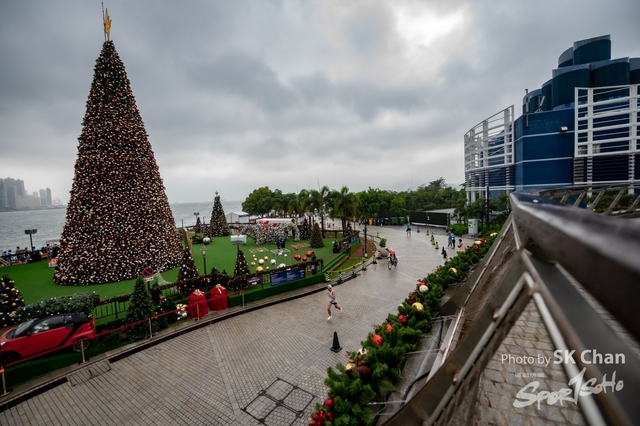 DSC_0337-2