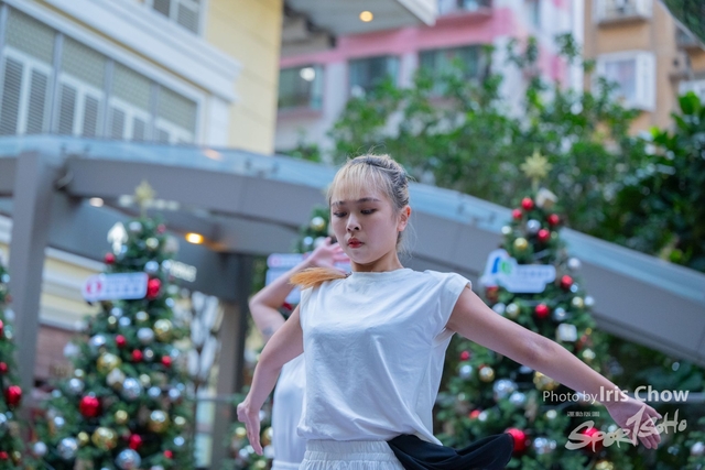 HLY_0217