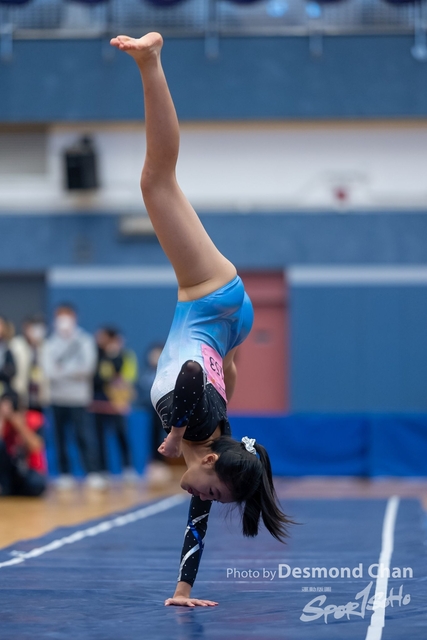 _DES0388