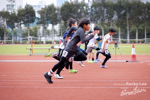 RLEE2519